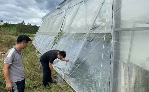 揭阳农垦积极做好台风防御工作全力守护垦区职工群众生命财产安全