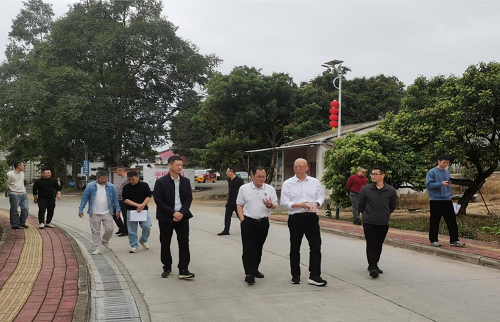 范利辉带队到卅岭农场进行项目规划建设调研.png